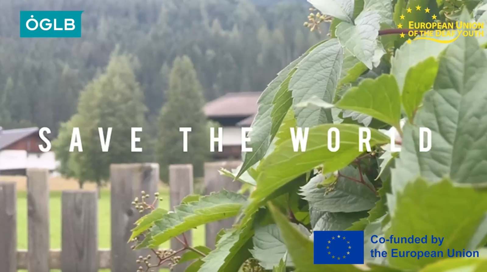 Deaf Youth Fighting Against Climate Change videos - EUDY